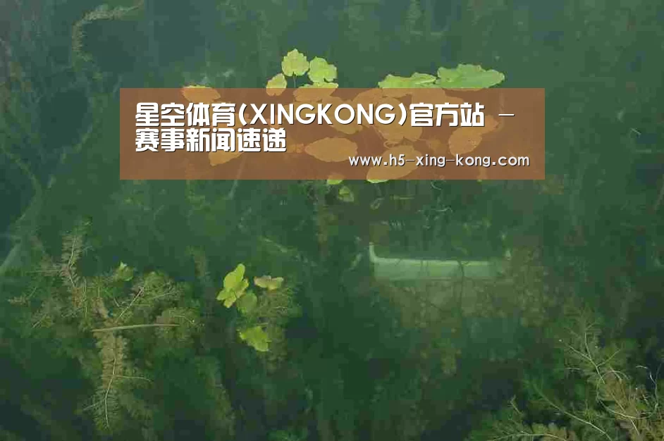 案例展示三(图1)