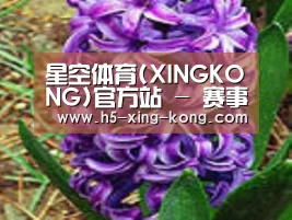 产品名称八